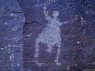 petroglifo