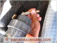 bricolaje agua caliente solar piscina - aplicando adhesivo de PVC