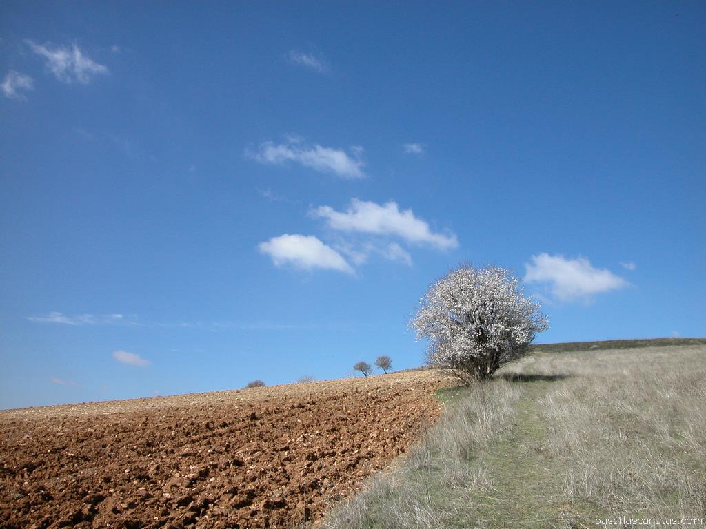  Fondos de pantalla de paisajes