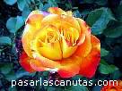 foto de rosa Bea de V. Mu�oz