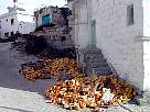 foto de Turqu�a: calle de G�reme, con restos de calabazas