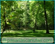 fotos de paisajes - Monasterio de Piedra - jard�n