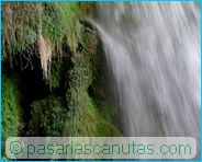fotos de paisajes - Monasterio de Piedra - cascada y helechos