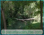 fotos de paisajes - Monasterio de Piedra - selva