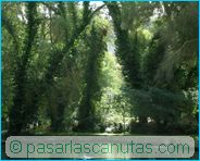 fotos de paisajes - Monasterio de Piedra - selva