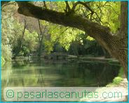 fotos de paisajes - Monasterio de Piedra - tronco de �rbol y lago