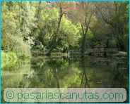fotos de paisajes - Monasterio de Piedra - el bosque y el lago