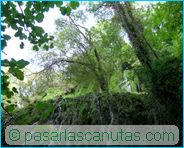 fotos de paisajes - Monasterio de Piedra - filigrana del agua