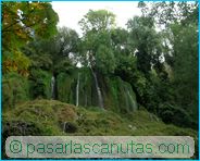 fotos de paisajes - Monasterio de Piedra - agua y vegetaci�n