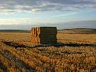 fotos de paisajes - fardos de paja apilados tras la cosecha de trigo