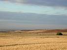 fotos de paisajes - foto de paisaje de campos de Ajalvir tras la cosecha 3