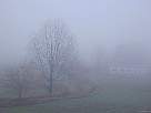 foto de paisaje de invierno de �rboles en la niebla