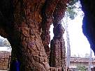 parqueguell079.JPG