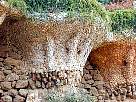 parqueguell087.JPG