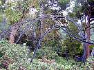 parqueguell091.JPG