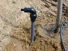 foto de otro taladro de agua de pasarlascanutas introducido en la tierra de otro �rbol de nuestro huerto familiar