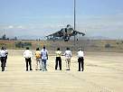 harrier02.JPG