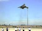 harrier05.JPG