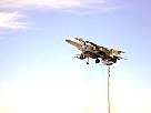 harrier07.JPG