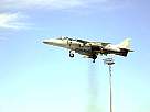 harrier08.JPG