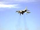 harrier09.JPG