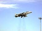harrier12.JPG