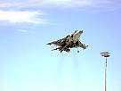 harrier13.JPG