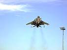 harrier14.JPG