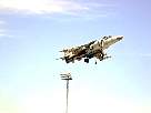 harrier19.JPG