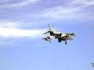 harrier22.JPG