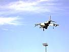 harrier23.JPG