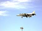 harrier24.JPG