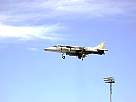 harrier25.JPG