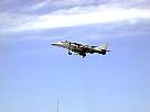 harrier26.JPG