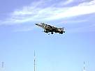 harrier27.JPG