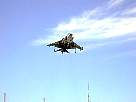 harrier28.JPG