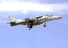 harrier30.JPG