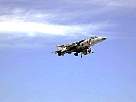 harrier31.JPG