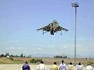 harrier36.JPG