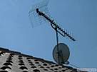 Bricolaje - instalar una antena parabolica - antenas que casi podr�an entorpecer la instalaci�n