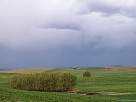 foto de paisaje de campos de cereales y �rboles con fondo de tormenta en Serracines