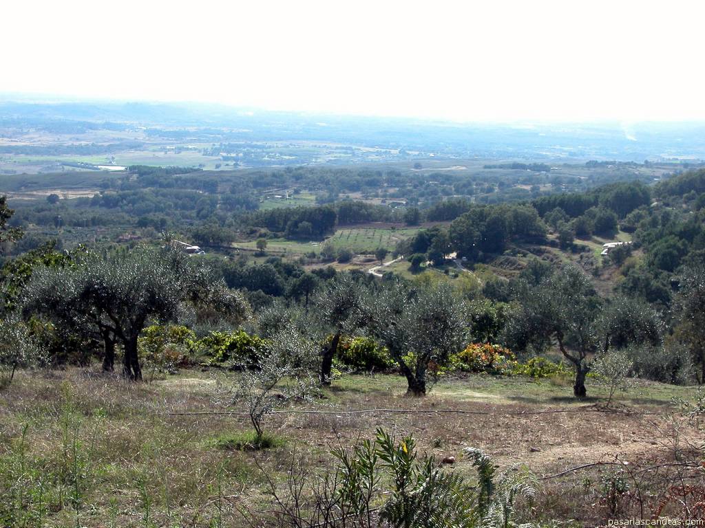 fondo de pantalla del valle y huerta de Candeleda