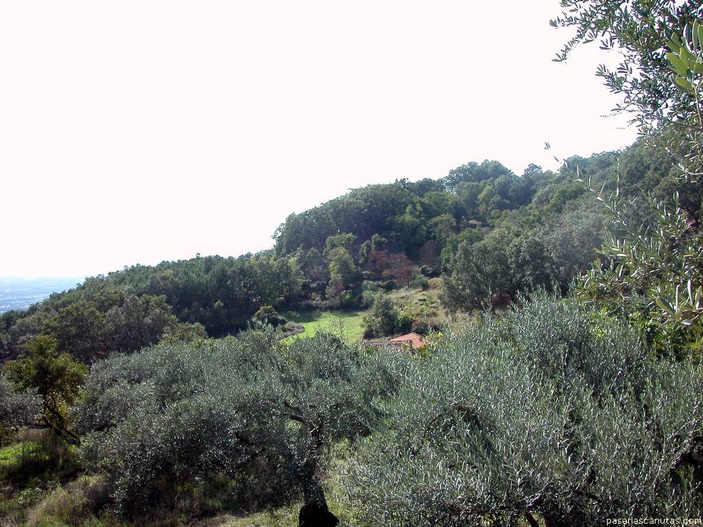 fondo de pantalla de paisaje de ladera del monte de Candeleda