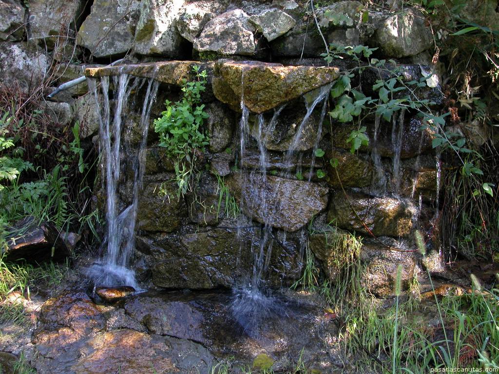fondo de pantalla de manantial