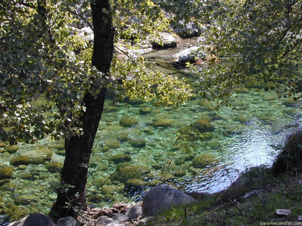 fondo de pantalla de la orilla del r�o Alardos, Madrigal de la Vera