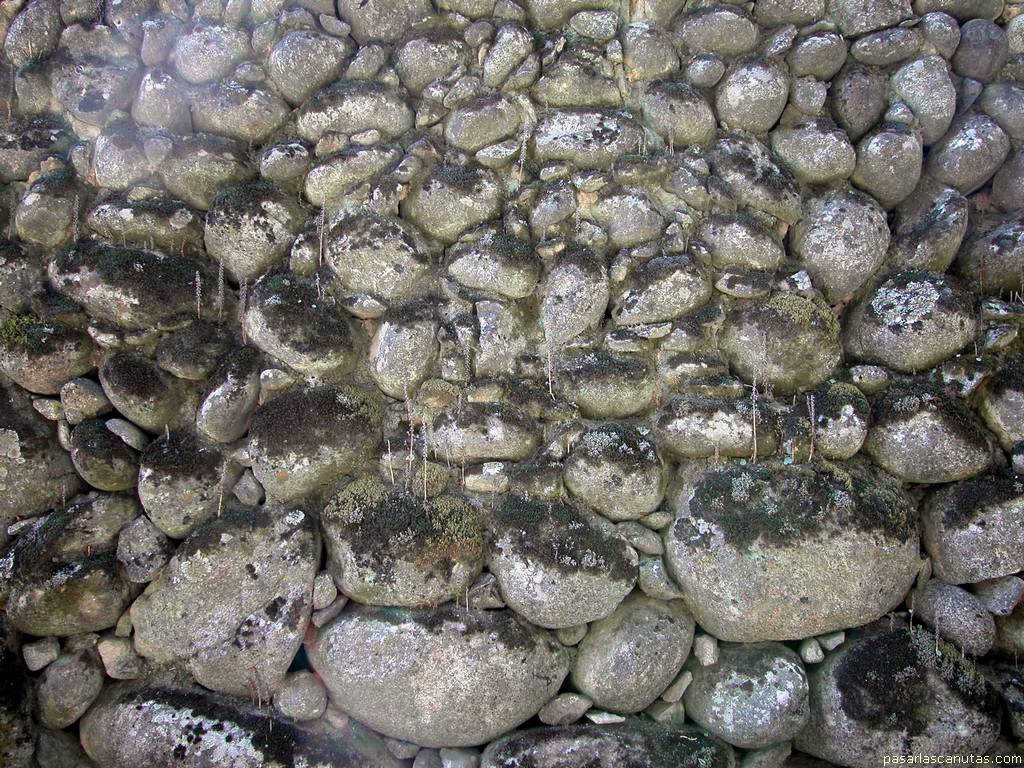 textura de pared de piedras con musgo