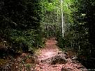 foto de paisaje de Ordesa , recorrido de la faja canarellos , claroscuro