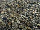 foto de textura de agua de arroyo de monta�a