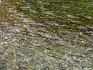 foto de textura de agua de riachuelo de monta�a