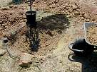 base del arbol en cepell�n